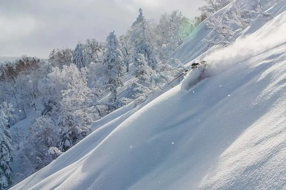 Powder skiing in Japan